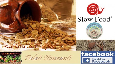 LA FAVA DI CARPINO