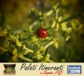/album/maggio-il-mese-delle-rinascite-carpino-fg-/p5040028-jpg1/